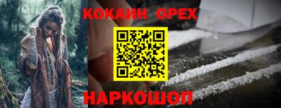 сатива Ставрополь