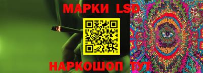 сатива Ставрополь