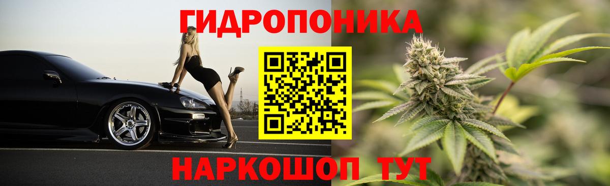 МАРИХУАНА конопля  Шишки марихуана Bruce Banner  Марихуана ГИДРОПОН  Вход с VPN  Рославль 